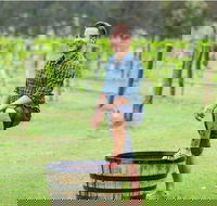 Hunter Valley Grape Stomping - Local Tourism