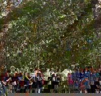 Breakfast Bushwalk Tour in Captain Cook's Monument - Accommodation Australia