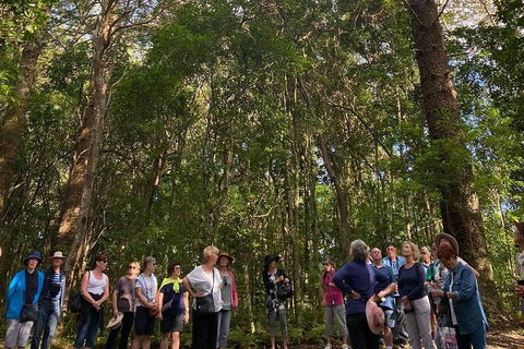 Breakfast Bushwalk Tour In Captain Cook\'s Monument - Accommodation Australia 0
