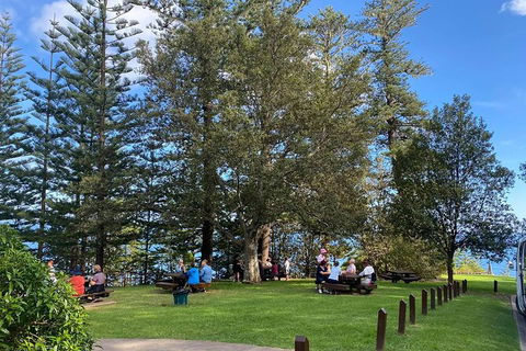 Breakfast Bushwalk Tour In Captain Cook\'s Monument - Accommodation Australia 1