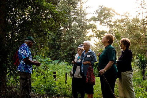 Breakfast Bushwalk Tour In Captain Cook\'s Monument - Accommodation Australia 3