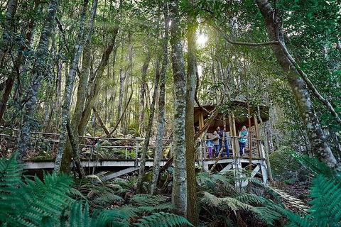 All-Inclusive Blue Mountains Tour In A Luxury Mercedes Sprinter - Accommodation Australia 6