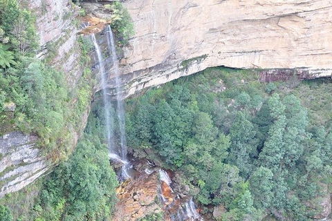 All-Inclusive Blue Mountains Tour In A Luxury Mercedes Sprinter - Accommodation Australia 9