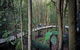 All-Inclusive Blue Mountains Tour In A Luxury Mercedes Sprinter - thumb 13