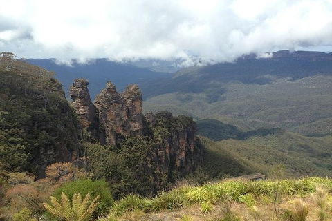 All-Inclusive Blue Mountains Tour In A Luxury Mercedes Sprinter - Accommodation Australia 3