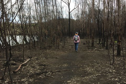 Fishermans Paradise Eco-walk - Accommodation Australia 5