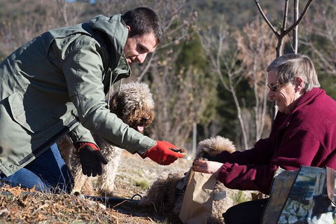 Truffle Hunt And Luncheon - Local Tourism 2