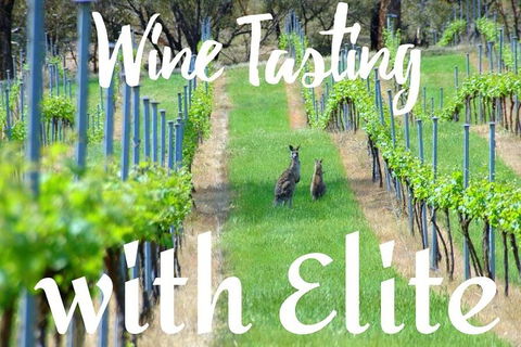 Six Hour - Plan Your Own Wine And Cheese Tour Hunter Valley - Local Tourism 7
