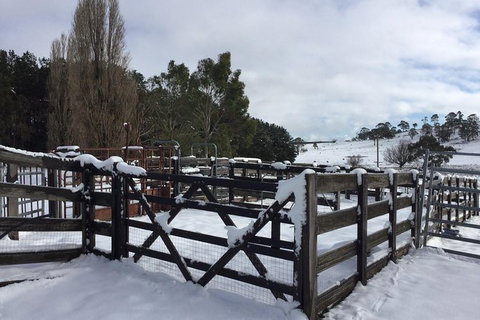 Paddock To Plate Farm Tour And Tasting - Accommodation Australia 11