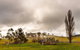 Paddock To Plate Farm Tour And Tasting - thumb 0