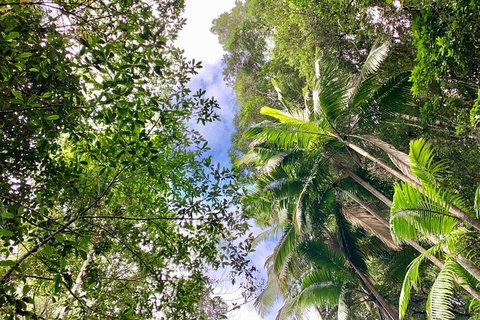 Guided E Bike Tour - Unicorn Falls & National Park - Australia Shopping 5