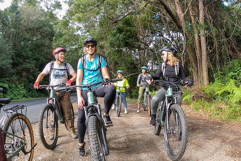 Guided E Bike Tour - Unicorn Falls & National Park - Australia Shopping 11