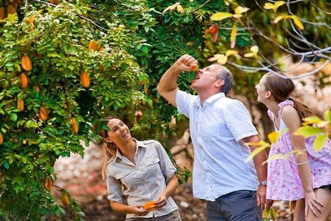 Full-Day Guided Tour Byron Bay With Pickup - Australia Shopping 1