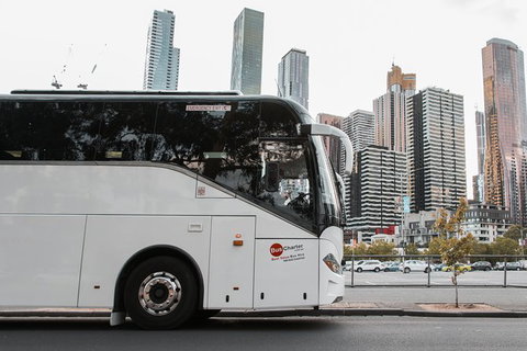 Private 13 Seat Mini Bus Sydney CBD To BankWest Stadium Transfer - Accommodation Australia 1