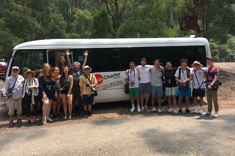 Private 13 Seat Mini Bus Sydney CBD To BankWest Stadium Transfer - Accommodation Australia 4
