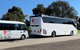 Private 13 Seat Mini Bus Sydney CBD To BankWest Stadium Transfer - thumb 2