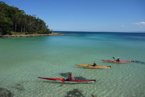 Half-Day Jervis Bay Sea Kayak Tour - Australia Shopping 3