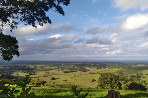 Pecan Farm Tour And Workshop, Byron Bay Hinterland - Australia Shopping 1