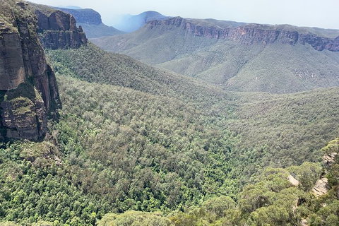 Blue Mountains Private Bus Tour From Sydney, Plus Featherdale Aussie Animal Park - Australia Shopping 3