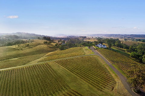 Audrey Wilkinson Vineyard: Fromage And Fortified Wine Experience - Local Tourism 1