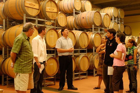 Hunter Valley Small Group Luxury Wine Tasting Tour From Sydney - Accommodation Australia 7