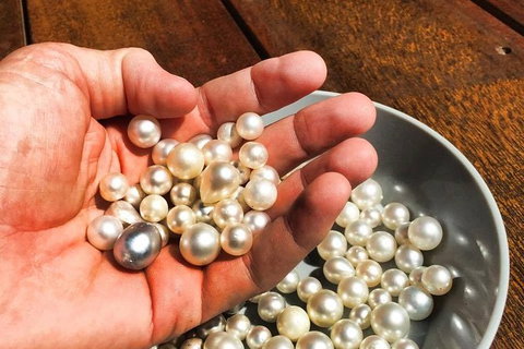 Australian Pearl Experience & Kangaroo Encounter Day Trip From Sydney - Australia Shopping 0