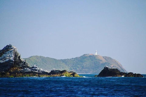 Julian Rocks Byron Bay Cruise - Local Tourism 2