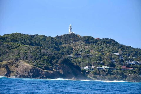 Julian Rocks Byron Bay Cruise - Local Tourism 7