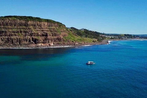 Julian Rocks Byron Bay Cruise - Local Tourism 6