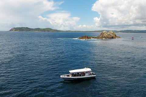 Julian Rocks Byron Bay Cruise - Local Tourism 0