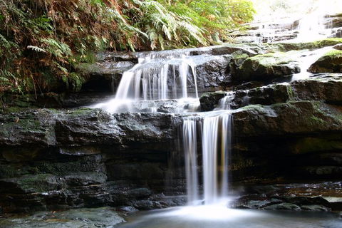 Private 10-hour Tour To Blue Mountains From Sydney - Hotel Pick Up & Drop Off - Accommodation Australia 6