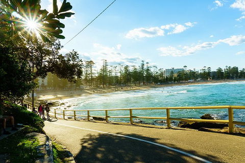 Sydney With Bondi And Beaches Essentials Private Day Tour - Accommodation Australia 8