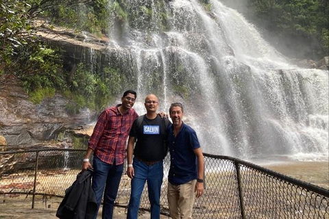 Blue Mountains Highlights & Wildlife Park - Australia Shopping 4