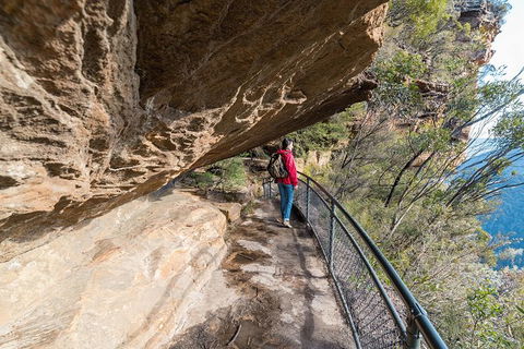 Blue Mountains Highlights & Wildlife Park - Australia Shopping 0