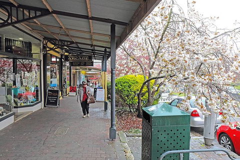 Blue Mountains Highlights & Wildlife Park - Australia Shopping 2