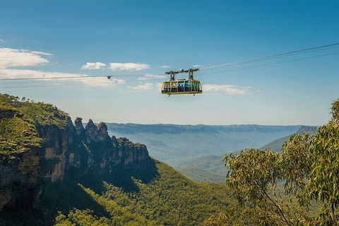 Blue Mountains Highlights, Wildlife Park And Scenic World Full Day Private Tour - Accommodation Australia 0
