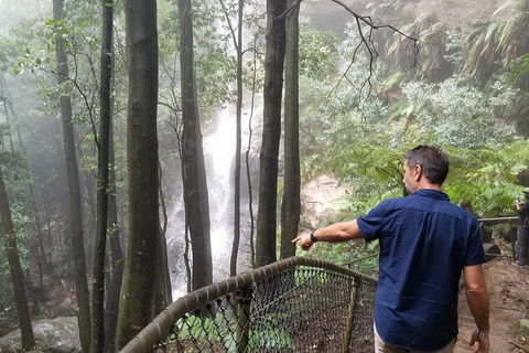 Blue Mountains Highlights, Wildlife Park And Scenic World Full Day Private Tour - Accommodation Australia 6