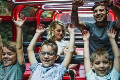 Blue Mountains Highlights, Wildlife Park And Scenic World Full Day Private Tour - Accommodation Australia 5