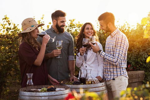 Hunter Valley Highlights Private Wine Tour From Sydney - Accommodation Australia 0