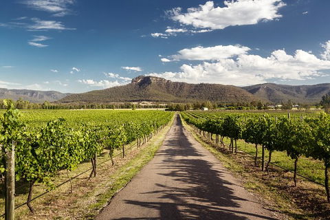 Hunter Valley Highlights Private Wine Tour From Sydney - Accommodation Australia 2