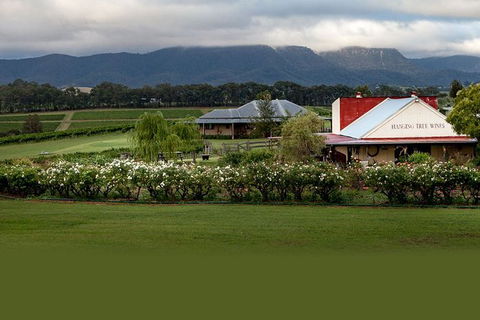 Hunter Valley Highlights Private Wine Tour From Sydney - Accommodation Australia 5