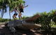 Jumping Crocs & Nature Adventure Cruise From Darwin - thumb 5
