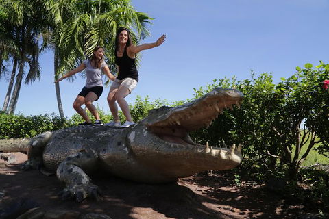 Jumping Crocs & Nature Adventure Cruise From Darwin - Accommodation Australia 5