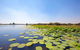 Jumping Crocs & Nature Adventure Cruise From Darwin - thumb 8