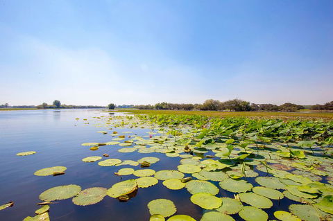 Jumping Crocs & Nature Adventure Cruise From Darwin - Accommodation Australia 8