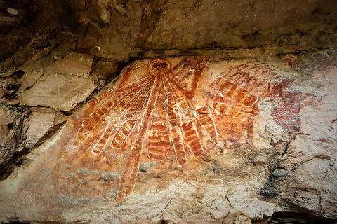 Arnhem Land Injalak Hill Full-Day Tour From Jabiru - Accommodation Australia 2