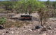 Arnhem Land Injalak Hill Full-Day Tour From Jabiru - thumb 6