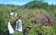 ETHICAL ADVENTURES - Dry Season Litchfield Region, Max 10 Guests - thumb 4