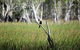 ETHICAL ADVENTURES - Dry Season Litchfield Region, Max 10 Guests - thumb 2