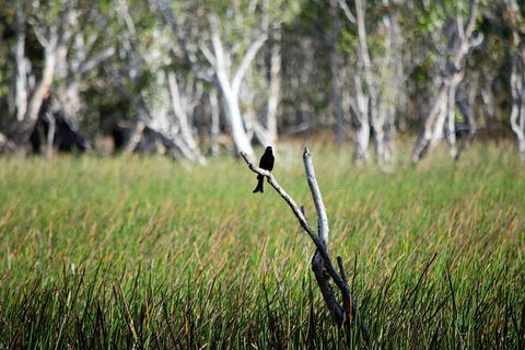 ETHICAL ADVENTURES - Dry Season Litchfield Region, Max 10 Guests - Accommodation Australia 2